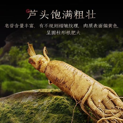 热售【保鲜参礼盒15支】长白山保鲜参正品礼盒装100g15支 商品图4