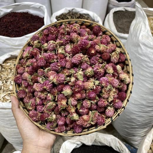 千日红 商品图0