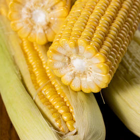 【云南有机甜脆玉米】检测报告