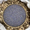 薰衣草 花茶 商品缩略图2