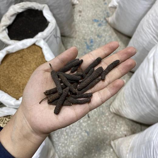 荜菝 肥大饱满，质坚实，香气特异 商品图4