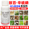 30%敌百辛硫磷敌百虫辛硫磷复配大田作物水稻二化螟专用杀虫剂 商品缩略图0