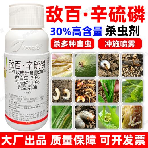 30%敌百辛硫磷敌百虫辛硫磷复配大田作物水稻二化螟专用杀虫剂 商品图0