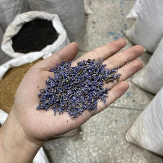 薰衣草 花茶 商品图4