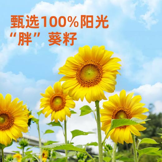 海天味业保证 葵花籽油5L物理压榨不含抗氧化剂 商品图2
