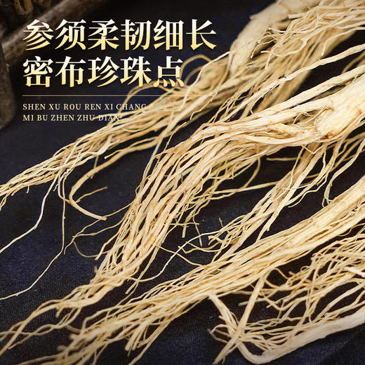 【长白山人参】超低温真空冷冻干燥活性参6g 商品图5