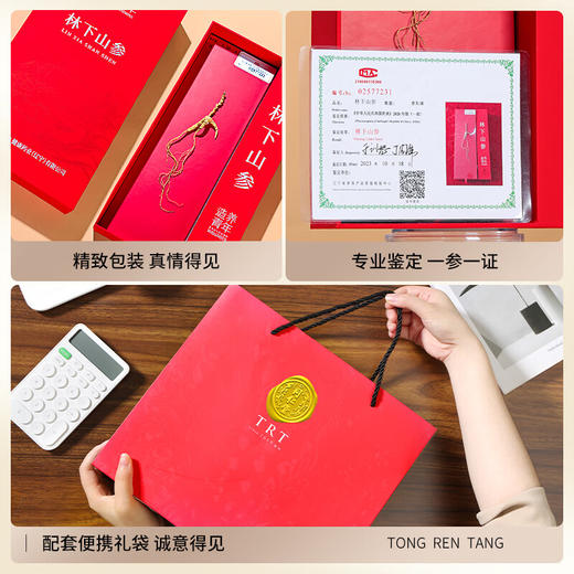 【正宗同仁堂品牌】北京同仁堂 林下山参-1-1.5g/B 自然参香味足 15年参 长白山脉原产 应季手工采挖 自然晾晒SY 商品图3