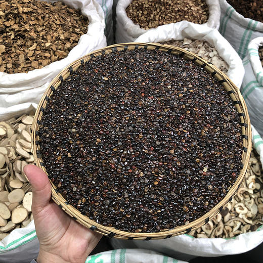 枳椇子  枳具子 商品图0