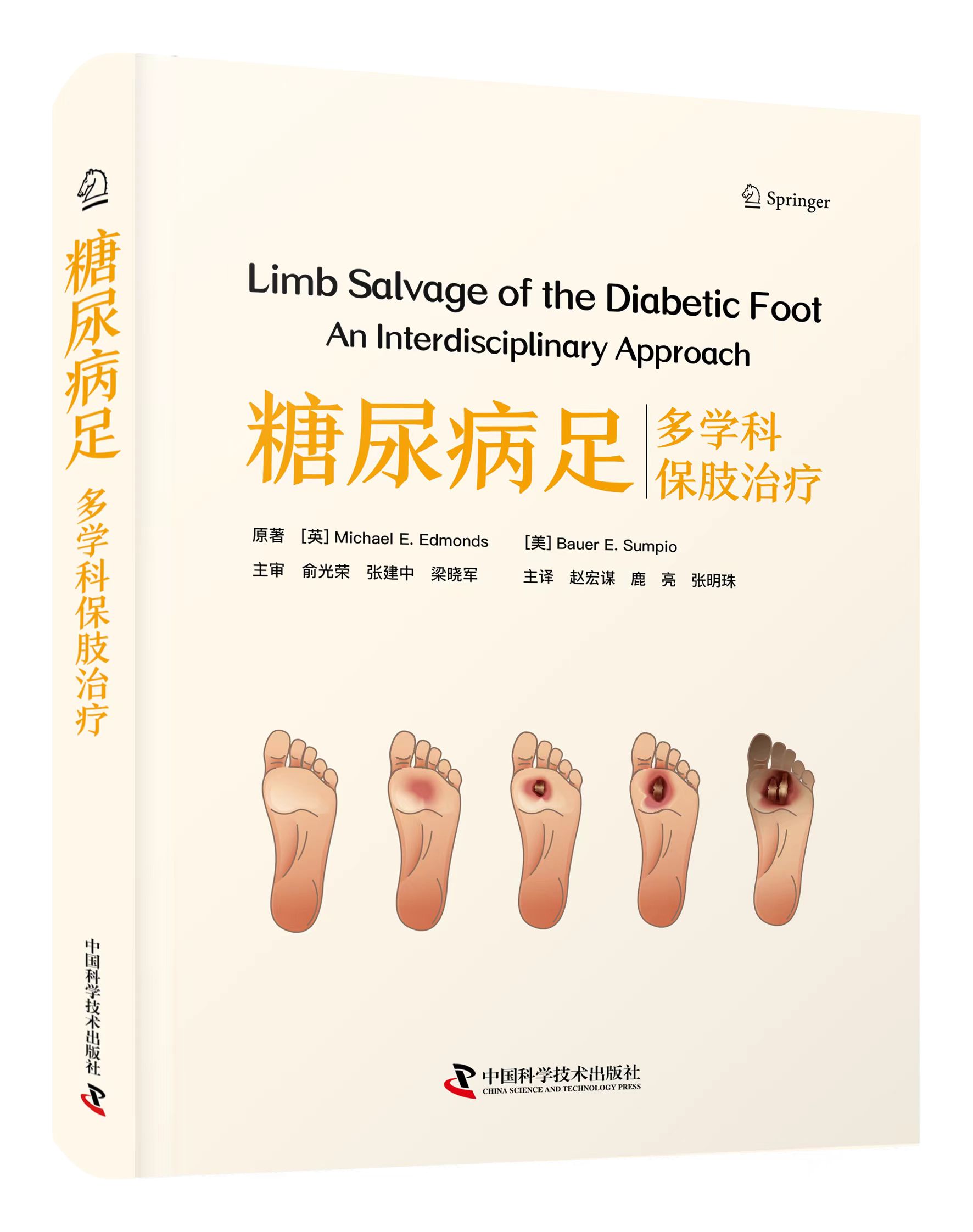 糖尿病足 多学科保肢治疗  主译 赵宏谋 鹿亮 张明珠  辽科出版