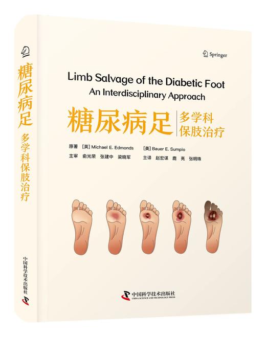 糖尿病足 多学科保肢治疗  主译 赵宏谋 鹿亮 张明珠  辽科出版 商品图0