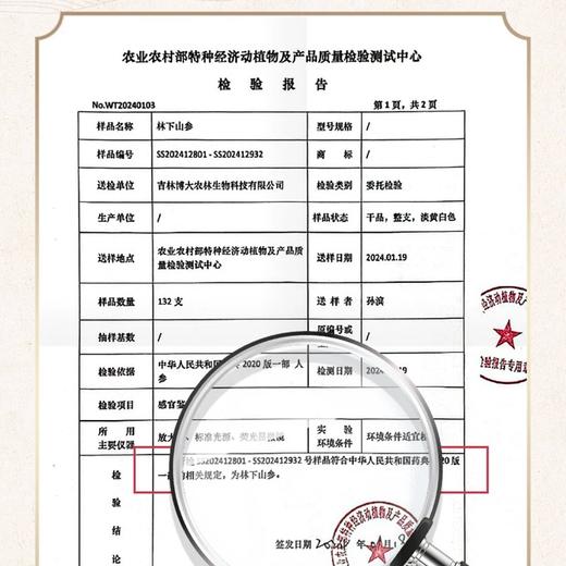 主推【长白山人参】林下山参礼盒5g/盒 商品图4