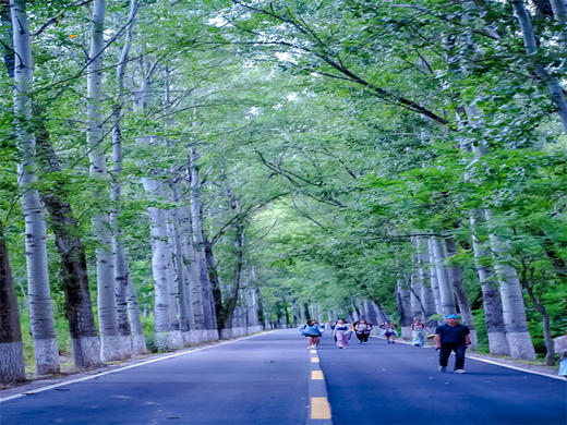 【百里画廊徒步1日】｜轻徒步の莫奈笔下的油画世界-尽享延庆山水画卷 商品图4