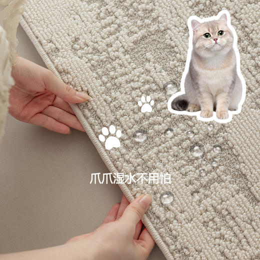 【春和】金蝉重磅三防工艺绒感地毯 商品图4