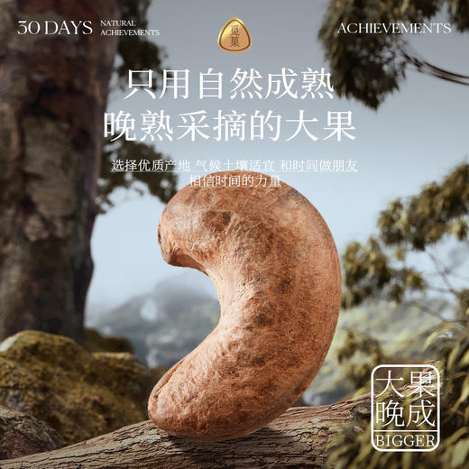 【4罐装】觅菓大颗粒大坚果觅果A180淡盐味干果紫衣腰果218g罐 商品图5