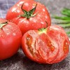 国家地理标志 绿色认证 碱地种植【CCTV推荐-盒马同款盘锦碱地西红柿】高于普通番茄VC含量  顺丰速递 新鲜送到家 商品缩略图13