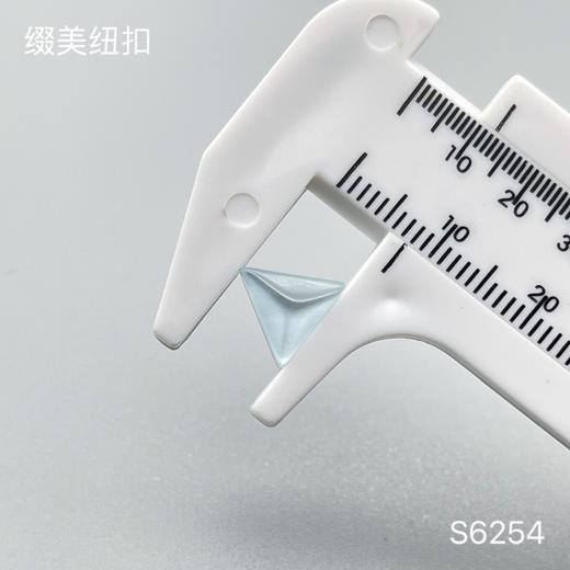 S6254(整包购买) 商品图1