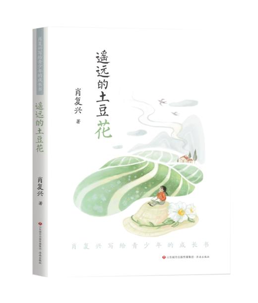 肖复兴写给青少年的成长书：遥远的土豆花 商品图0