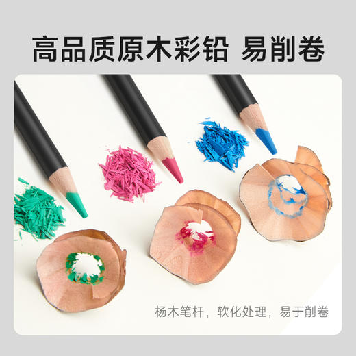 Touchmark泰驰马克-学生彩铅油性&水性 专业版 商品图4