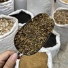 葛花 商品缩略图4