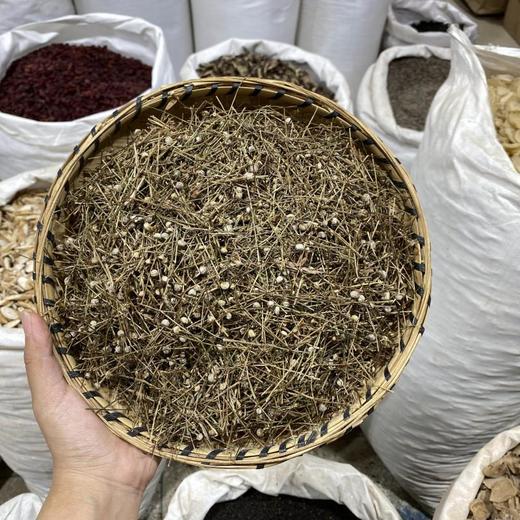 谷精草 商品图0