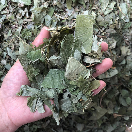 淫羊藿 常用统货 云南仙灵脾统货 特级淫羊藿  淫羊藿 商品图1