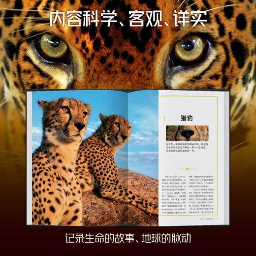 美国国家地理甄选礼盒第一辑(全4册) 商品图4