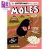 【中商原版】超级英雄野外指南 鼹鼠 Moles 英文原版 儿童科普绘本 动物知识百科图画书 进口儿童读物 8-12岁 自然科学绘本 商品缩略图0