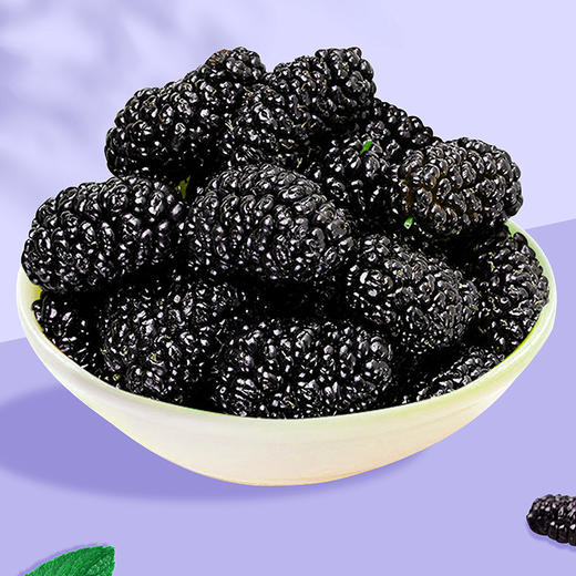 【宜昌助农馆】黑桑葚袋泡茶  甄选头茬桑葚干 口感清香 8g*15包 商品图3