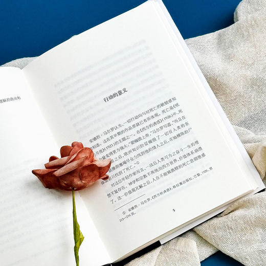 政治与文化 ：安德烈·马尔罗讲演访谈录 1925-1975 轻与重文丛 商品图6