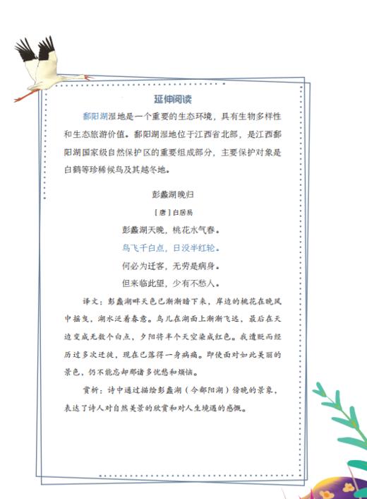 《保护地的动物朋友》 商品图4