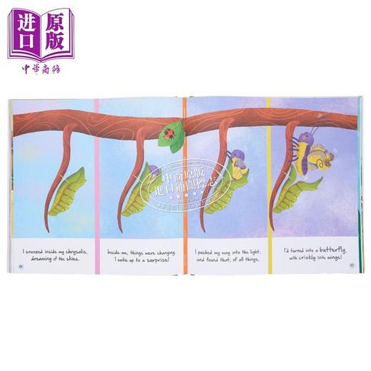【中商原版】年度自然的小故事 12个小故事 A Year of Nature Stories 英文原版 儿童科普绘本 自然科学图画故事 精装进口童书 商品图2