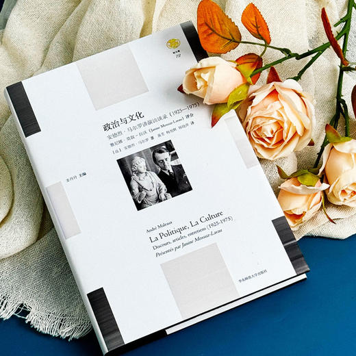 政治与文化 ：安德烈·马尔罗讲演访谈录 1925-1975 轻与重文丛 商品图4