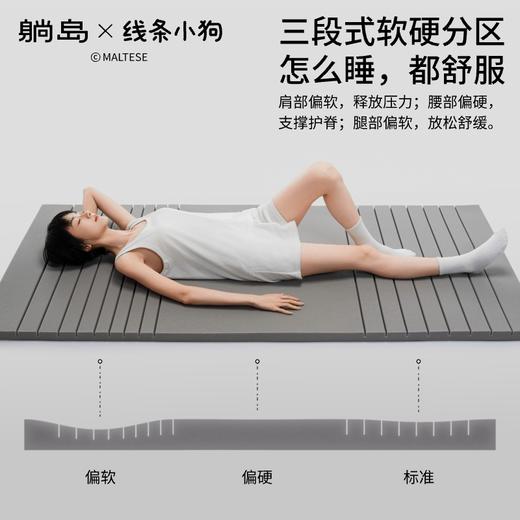 躺岛托浮学生宿舍租房榻榻米床垫 商品图1