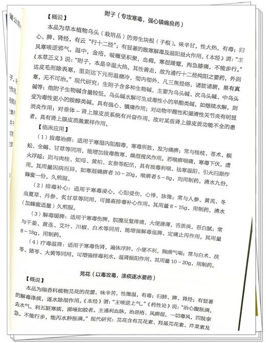 毒证论 第二版2版 陆拯临床医学丛书 毒症病因病机特点临床特征辨证论治病案用药方剂 中医临床书籍9787513287661中国中医药出版社 商品图4