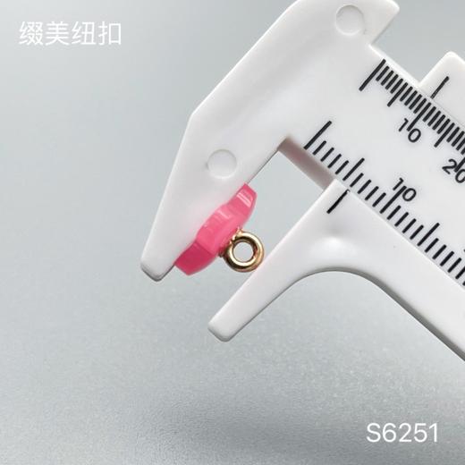 S6251(整包购买) 商品图6