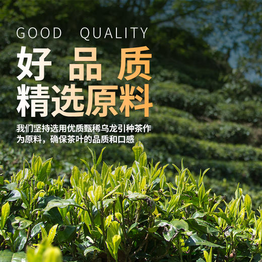 凤宁号滇红伴手礼【东方美人】60克/盒 商品图6