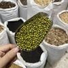 绿豆 消暑良品 五谷杂粮 新鲜 精选营养 中药材 商品缩略图4