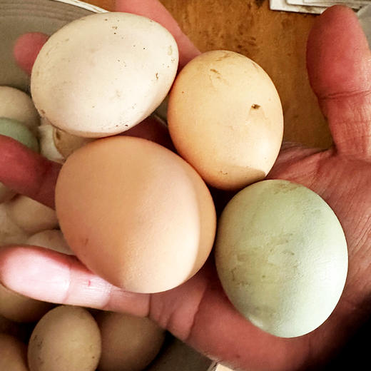【包邮】真正农村散养土鸡蛋 柴鸡蛋  吃粮食和小虫  新鲜土鸡蛋20枚/30枚 破损包赔 商品图2