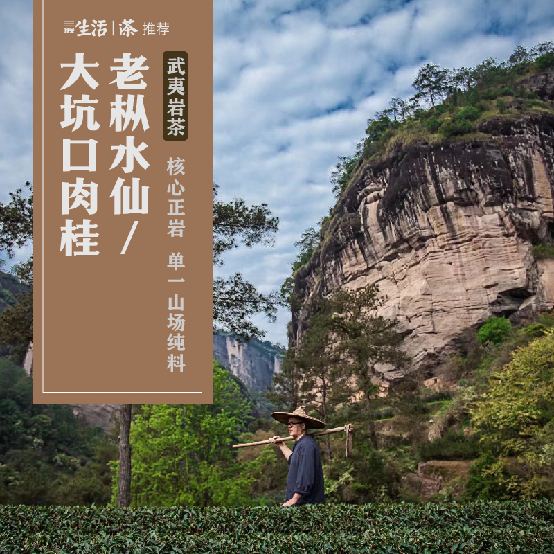 武夷岩茶老枞水仙/大坑口肉桂/酽肉桂 来自核心正岩产区 单一山场纯料 三联生活爱茶推荐（北京发货）