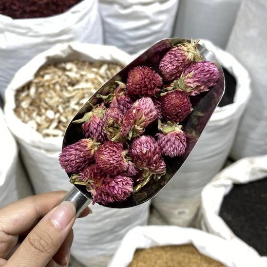 千日红 商品图4