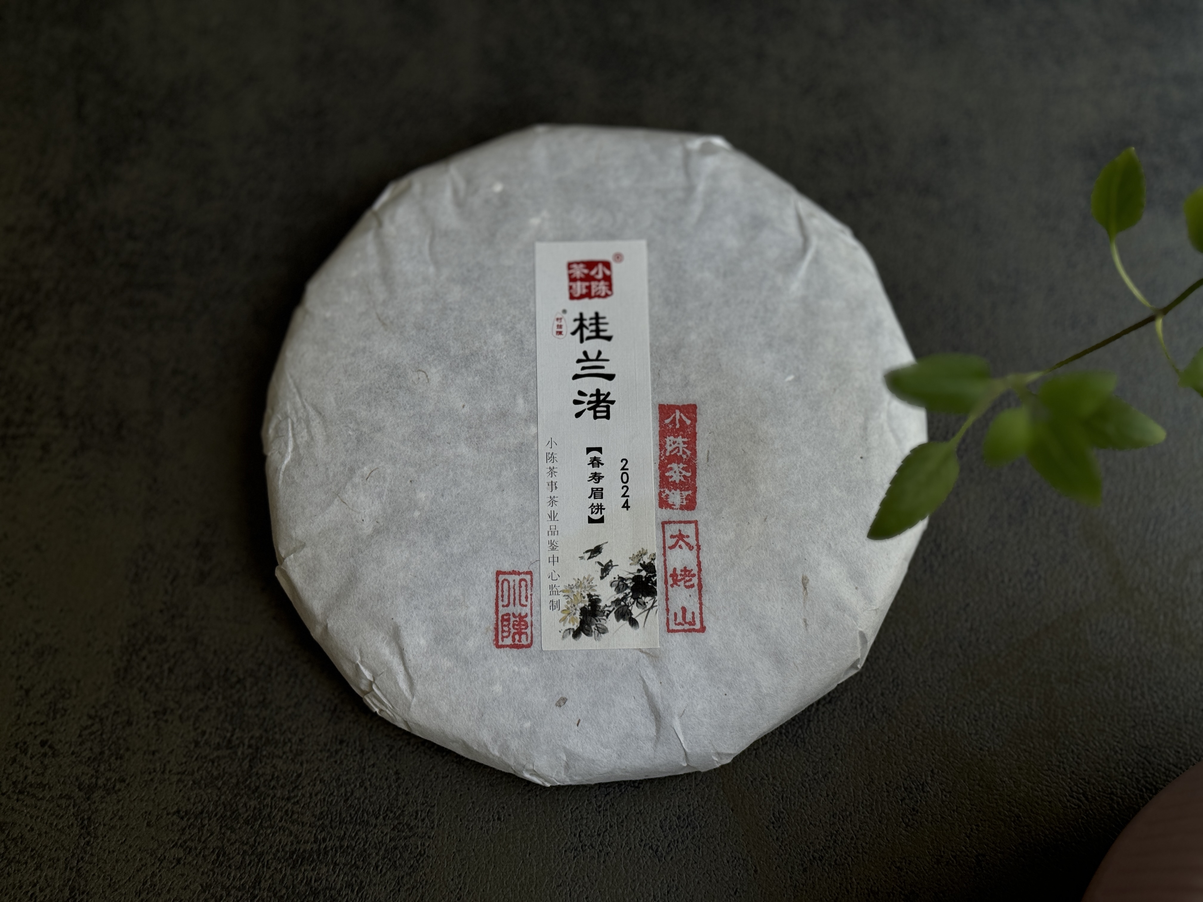 【好茶来了】花香更艳，等级和香气、滋味都更胜往年的2024春寿眉饼《桂兰渚》