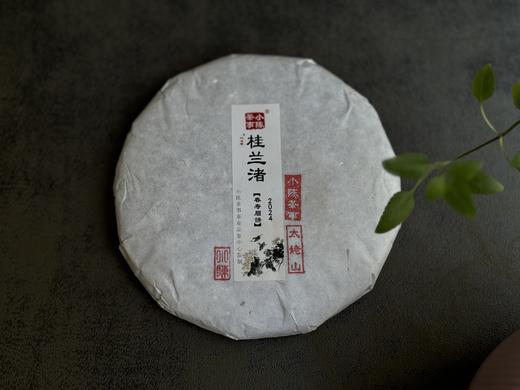 【好茶来了】花香更艳，等级和香气、滋味都更胜往年的2024春寿眉饼《桂兰渚》 商品图0