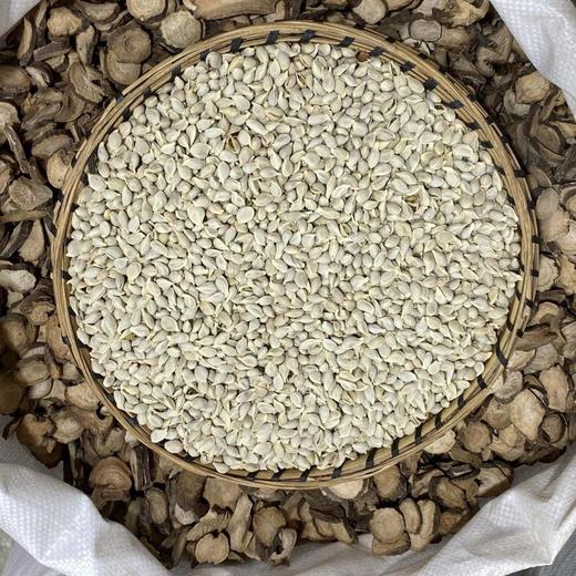 橘核 生橘核 桔核 商品图2