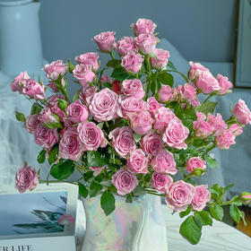 【AB级诺拉多头玫瑰.第二份减10元】5支/份 长约60-65cm