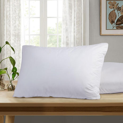 富安娜健康1+1枕（对枕） 商品图2