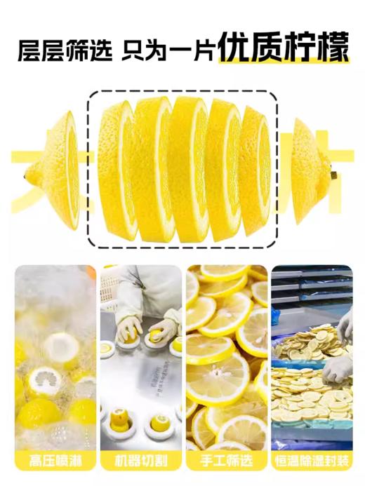 喜善花房冻干柠檬片泡水喝不加糖热泡冷泡水果茶柠檬干片泡茶花茶 商品图0