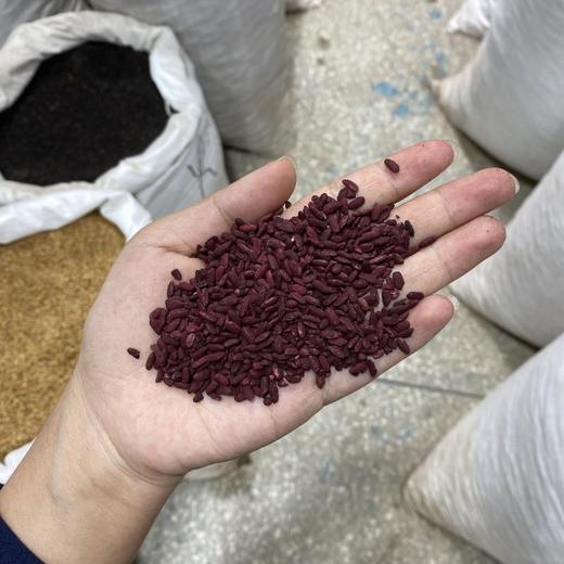 红曲米 商品图4