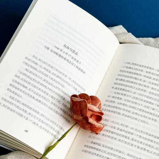 政治与文化 ：安德烈·马尔罗讲演访谈录 1925-1975 轻与重文丛 商品图8