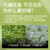华祥庄园-茉莉花茶口粮装40g 商品缩略图1