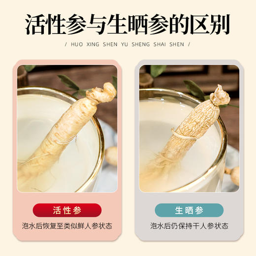 【长白山人参】超低温真空冷冻干燥活性参6g 商品图1